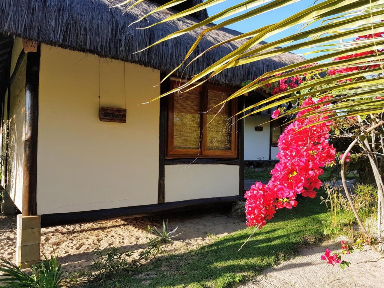 Bambusada Boutique Hotel Canavieiras  Dış mekan fotoğraf